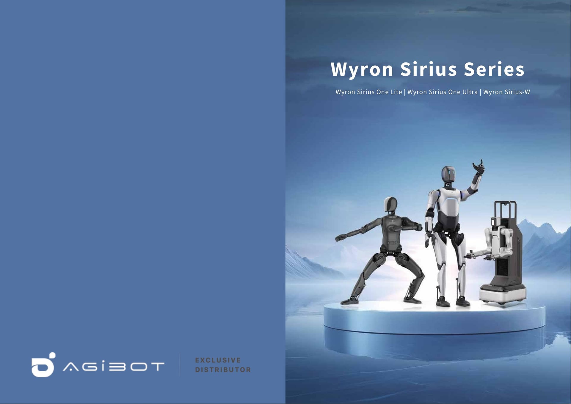Byron Robotics Brochure — Wyron Robotics